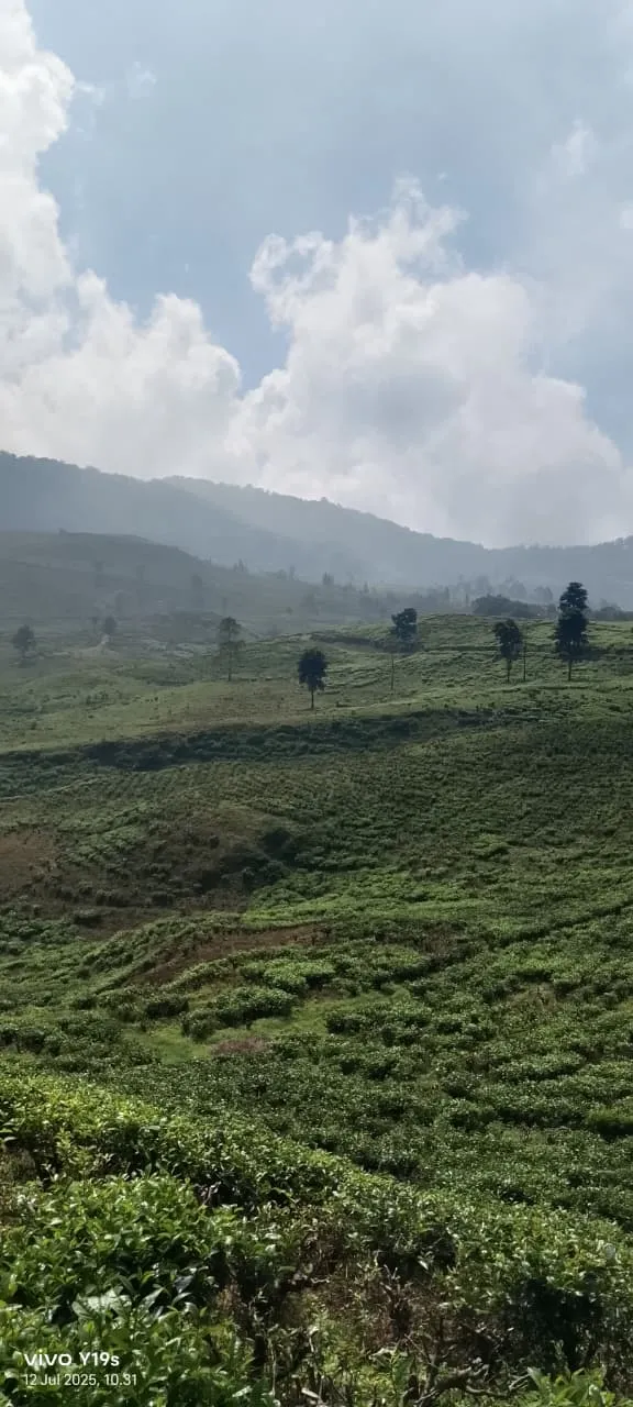 Telaga Saat Bogor - Track Offroad & Hidden Lake gambar 7